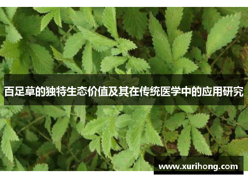 百足草的独特生态价值及其在传统医学中的应用研究